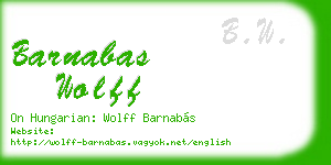barnabas wolff business card