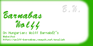 barnabas wolff business card